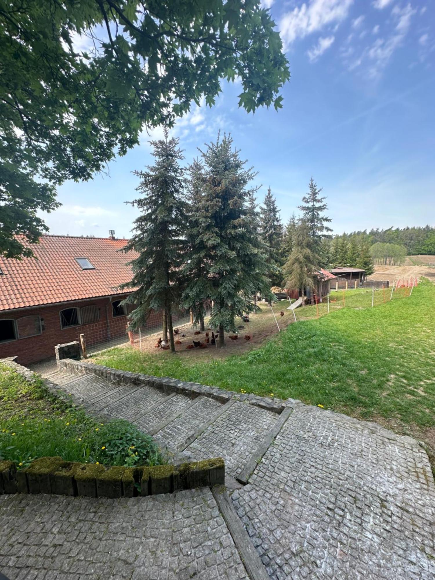 Stajnia Lipowo 45 Villa Eksteriør billede
