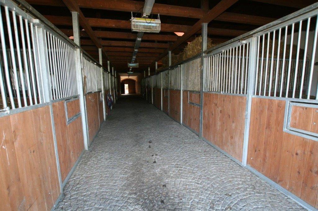 Stajnia Lipowo 45 Villa Eksteriør billede